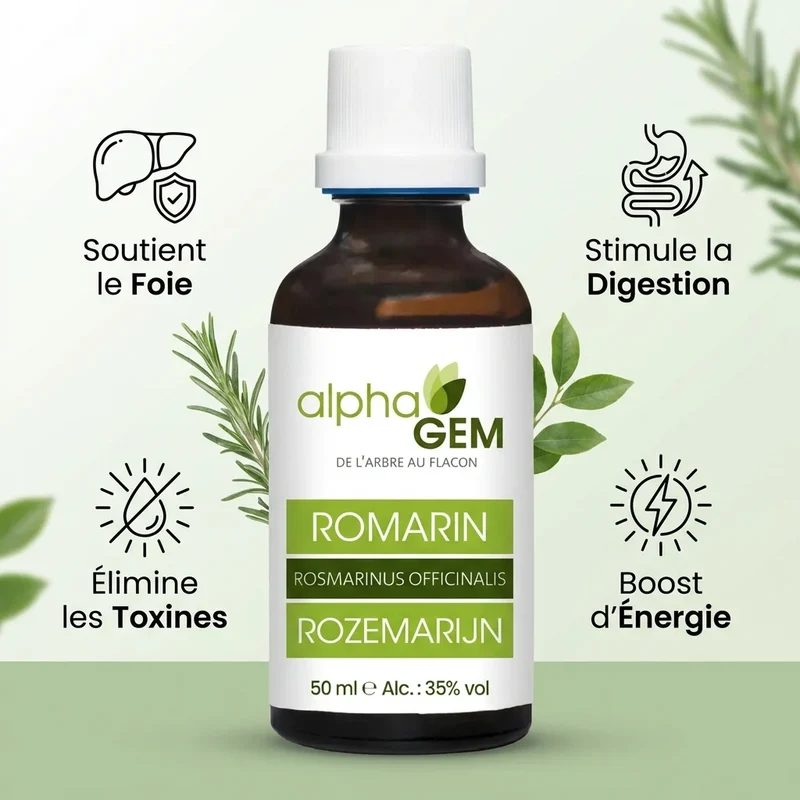 Macérat de Romarin - 50 ml - Alphagem