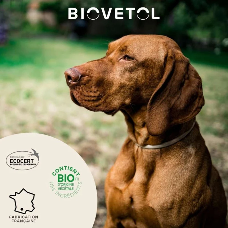 Pipettes Antiparasitaire Grand Chien x3 - Biovetol