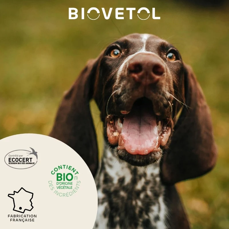 Pipettes Antiparasitaire Moyen Chien x3 - Biovetol
