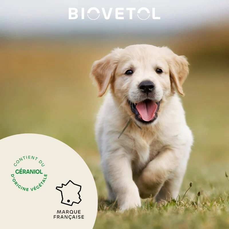 Collier Antiparasitaire Petit Chien et Chiot - Tiques & Puces x1 - Biovetol
