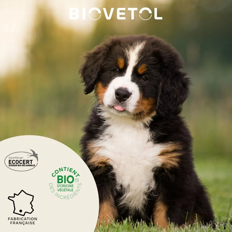 Pipettes Antiparasitaire Chiot & Petit Chien x3 - Biovetol