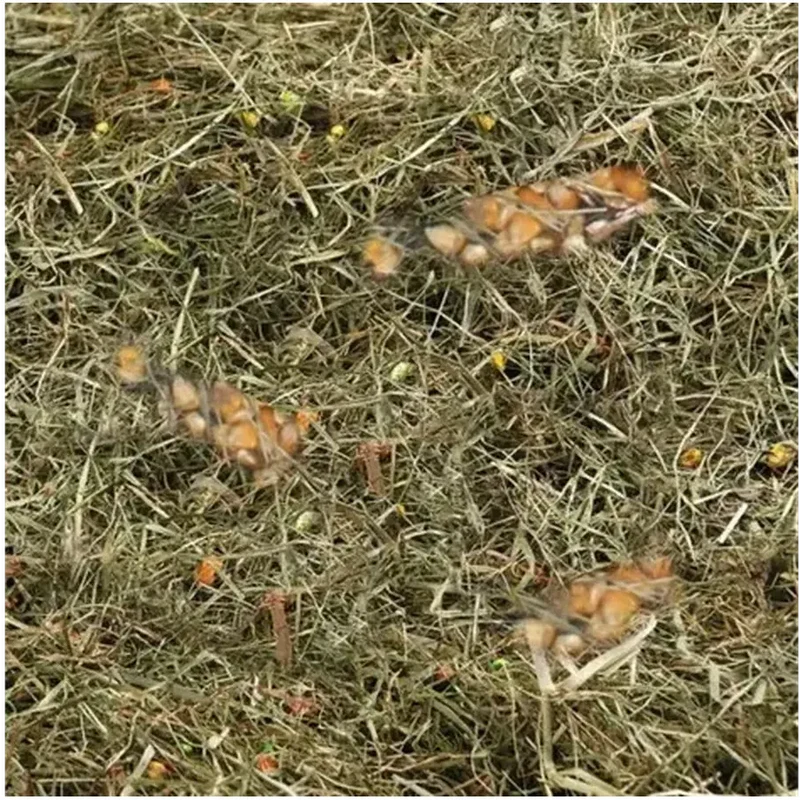 FLAMINGO Foin de montagne au maïs et blé 500g