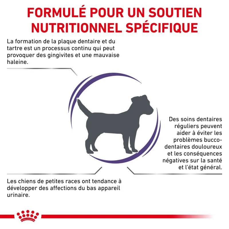 Royal Canin Ehn Chien Small Dental - croquettes chien