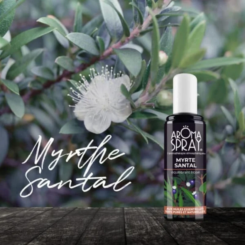 Aromaspray Myrte Santal 100 ml - Equilibrant boisé