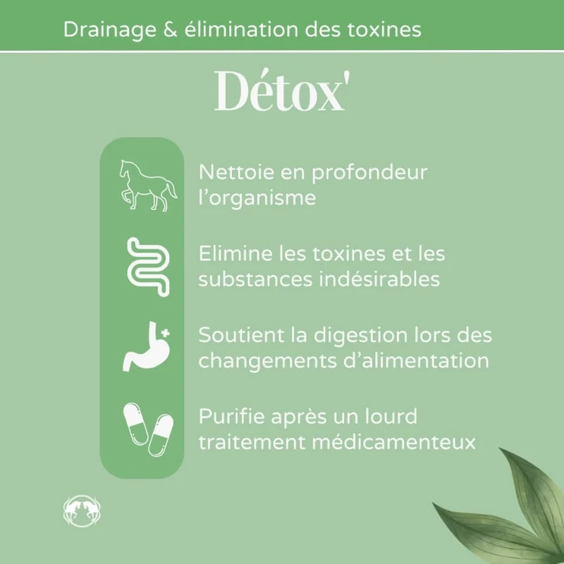 Detox Cheval - Draine et Purifie l'organisme - Naturacheval 1 L