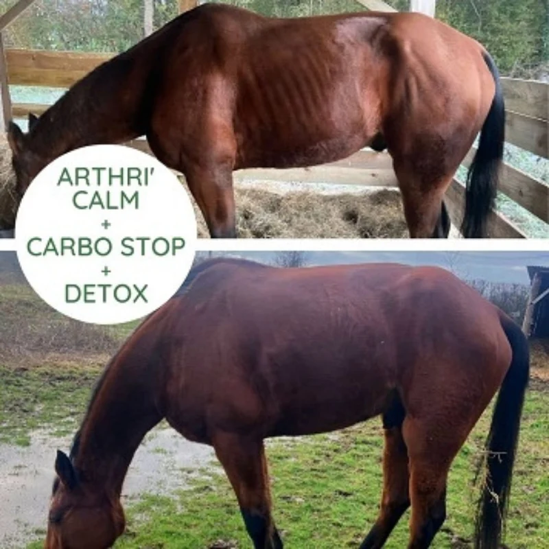 Detox Cheval - Draine et Purifie l'organisme - Naturacheval 1 L