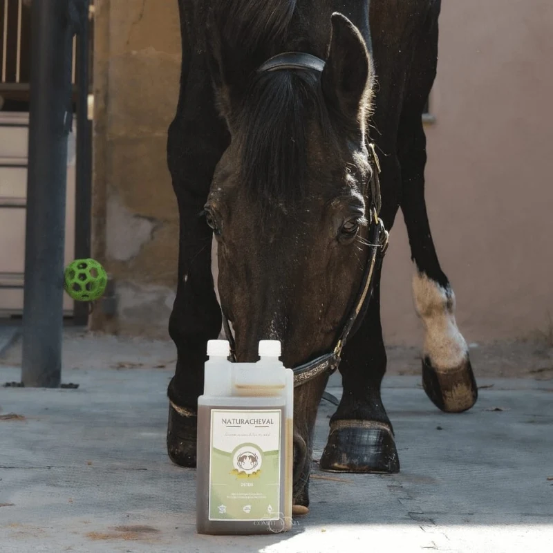 Detox Cheval - Draine et Purifie l'organisme - Naturacheval 1 L