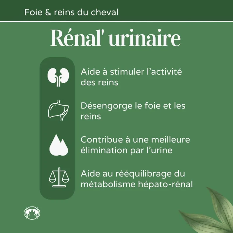 Renal'Urinaire - Foie et Reins du Cheval - Naturacheval 1 L