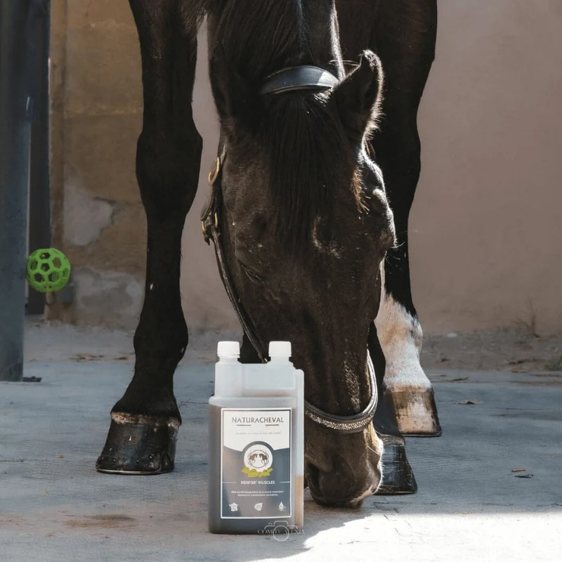 Renfor'Muscles Cheval - Développement & Soutien Musculaire - Naturacheval 1 L