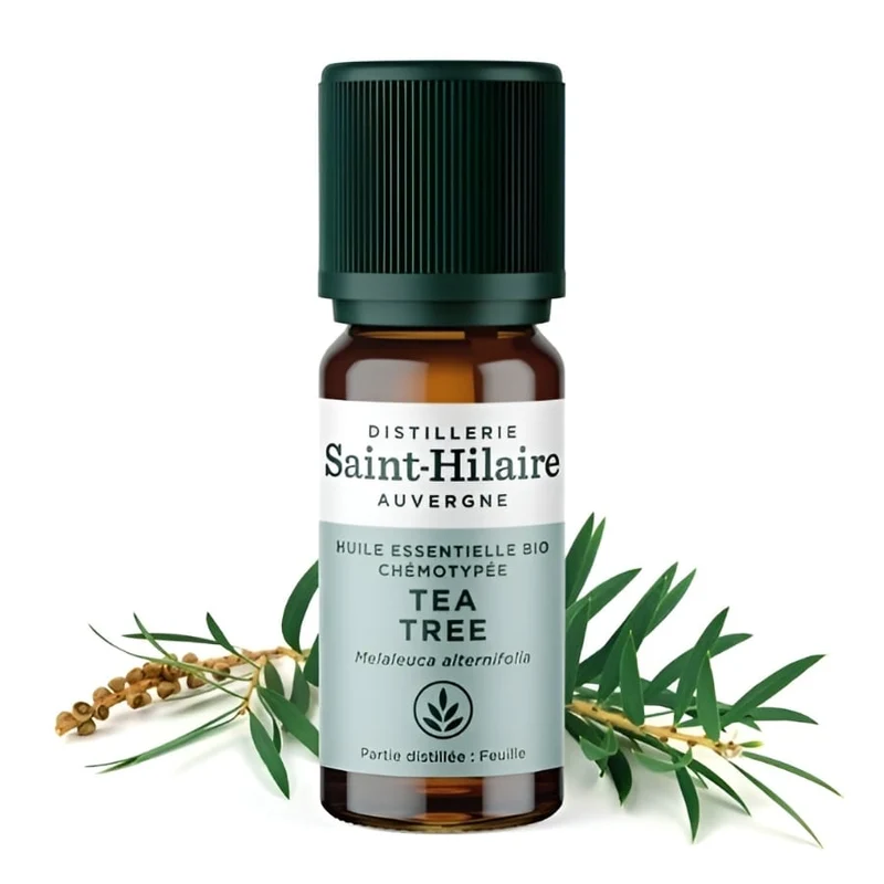 Huile essentielle de Tea Tree Bio - Saint-Hilaire - 10ml