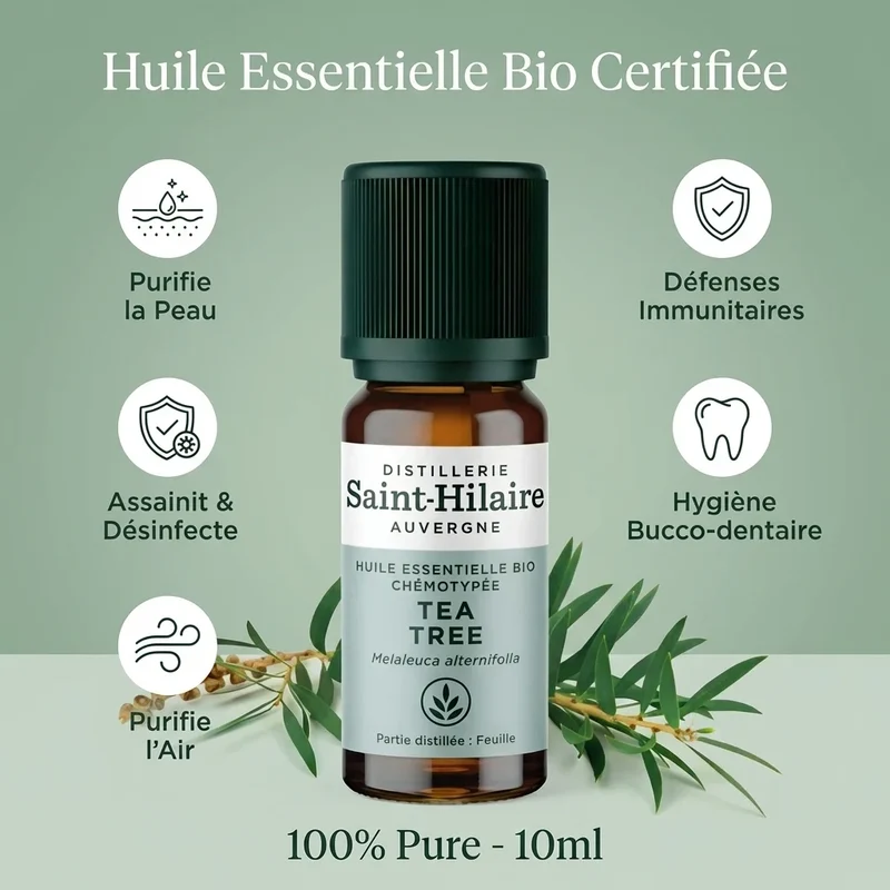 Huile essentielle de Tea Tree Bio - Saint-Hilaire - 10ml