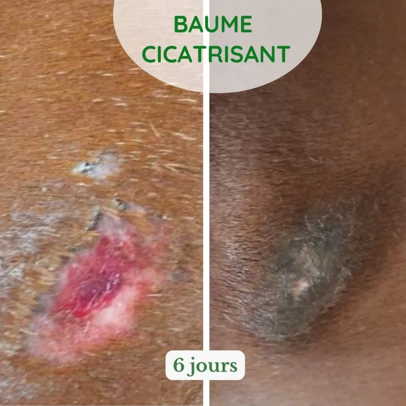 Baume cicatrisant - Accélère la cicatrisation & la repousse du poil - 500 g - Naturacheval