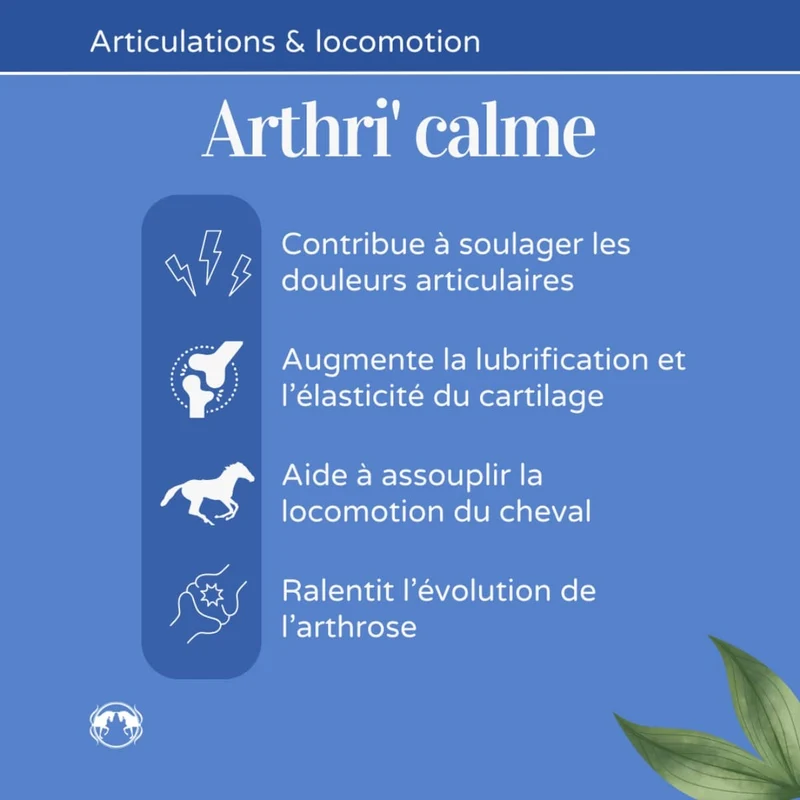 Arthri'Calme - Souplesse des articulations - 1L - Naturacheval