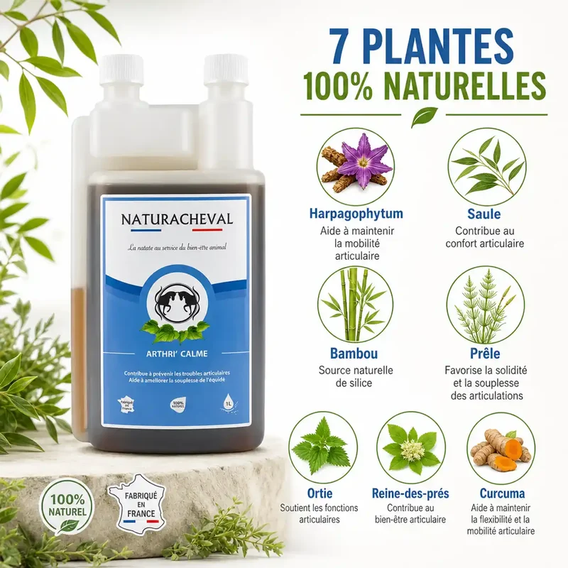Arthri'Calme - Souplesse des articulations - 1L - Naturacheval