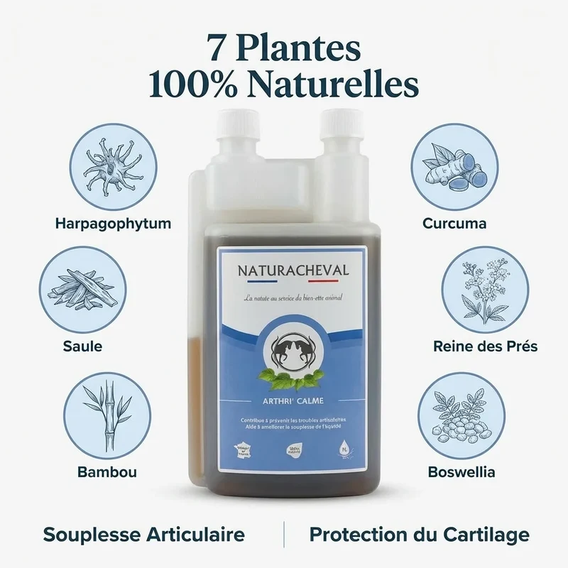 Arthri'Calme - Souplesse des articulations - 1L - Naturacheval
