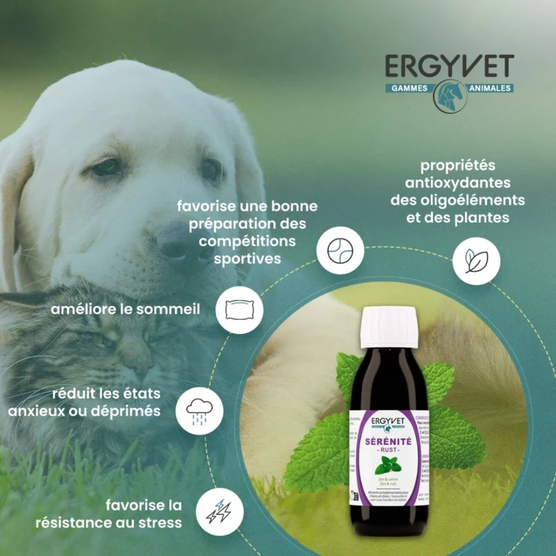 Ergyvet Sérénité - Zen et Calme Chien et Chat - 100 ml