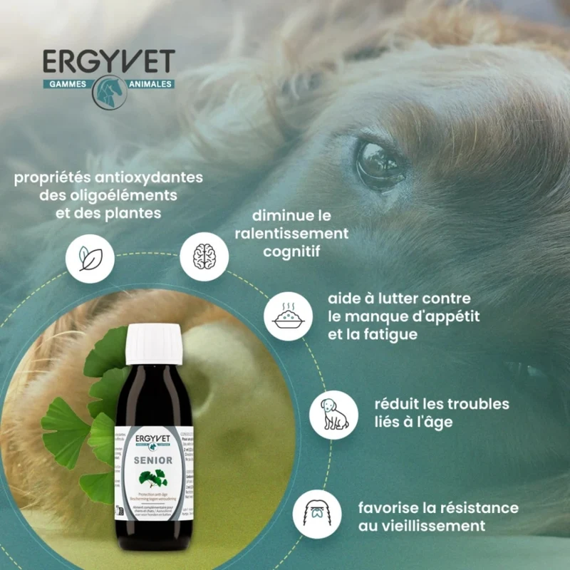 Ergyvet Senior - Protection Anti-âge - Chien et Chat - 100 ml
