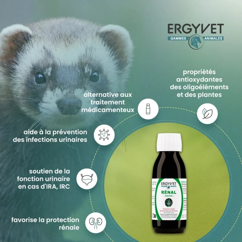 Protection Rénale - Chien et Chat - 100 ml - Ergyvet