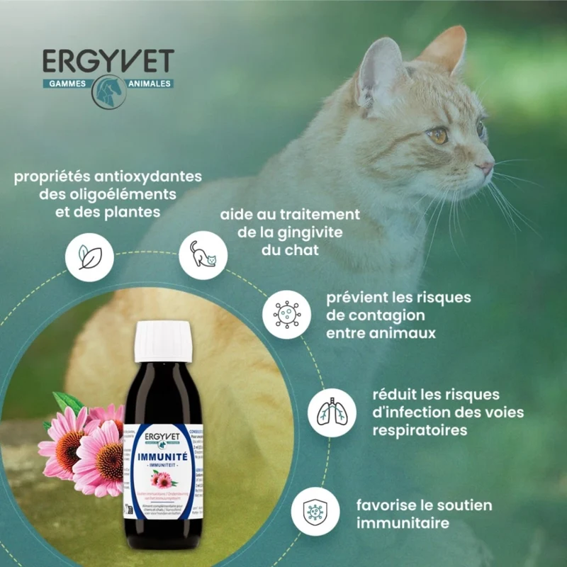Immunité - Chien et Chat - 100 ml - Ergyvet