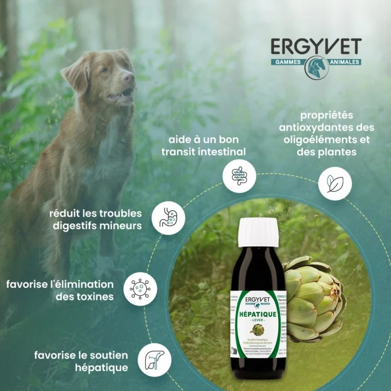 Soutien Hépatique - Chien et Chat - 100 ml - Ergyvet