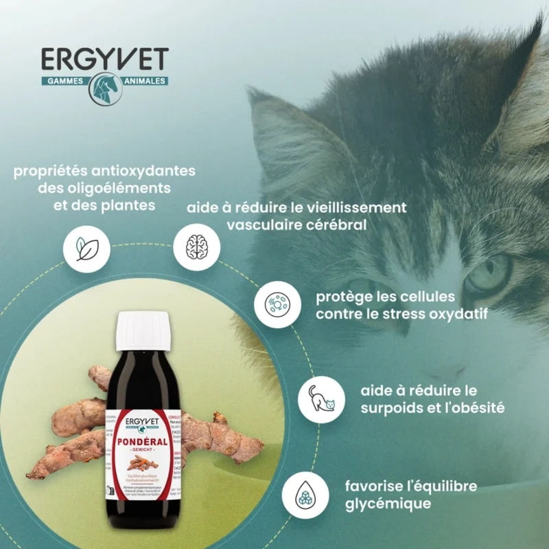 Ergyvet Pondéral - Diabète, Surpoids et obésité - Chien et Chat - 100 ml