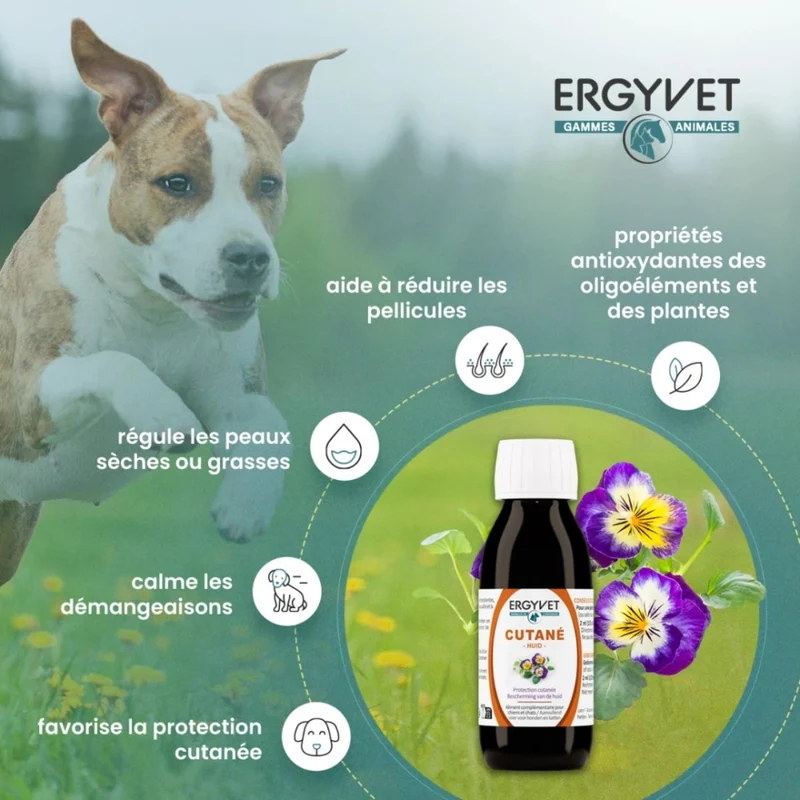 Protection Cutanée - Chien et Chat -100 ml - Ergyvet