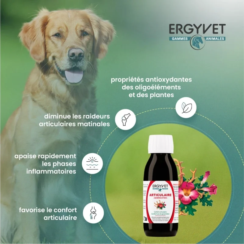 Confort Articulaire - Chien et Chat - 100 ml - Ergyvet