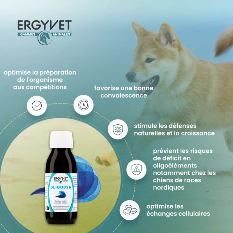 Oligodyn - Equilibre & Vitalité pour Chien et Chat - 100 ml - Ergyvet