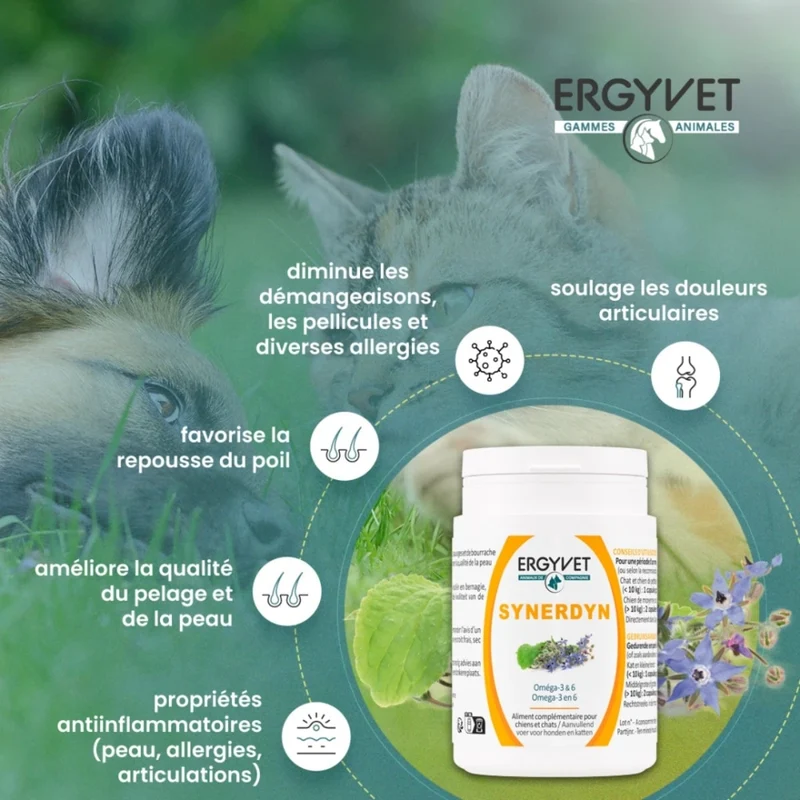 Synerdyn - Oméga 3 & 6 pour Chien et Chat - 60 capsules - Ergyvet