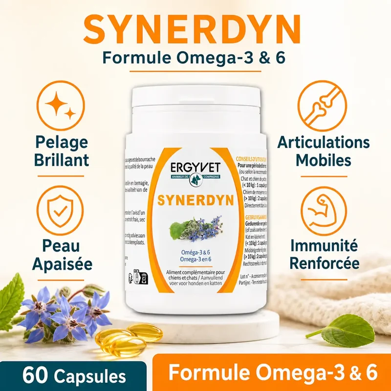 Synerdyn - Oméga 3 & 6 pour Chien et Chat - 60 capsules - Ergyvet