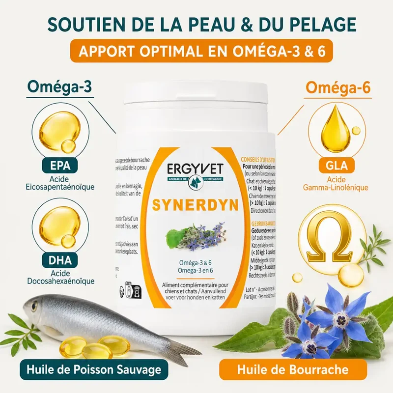 Synerdyn - Oméga 3 & 6 pour Chien et Chat - 60 capsules - Ergyvet