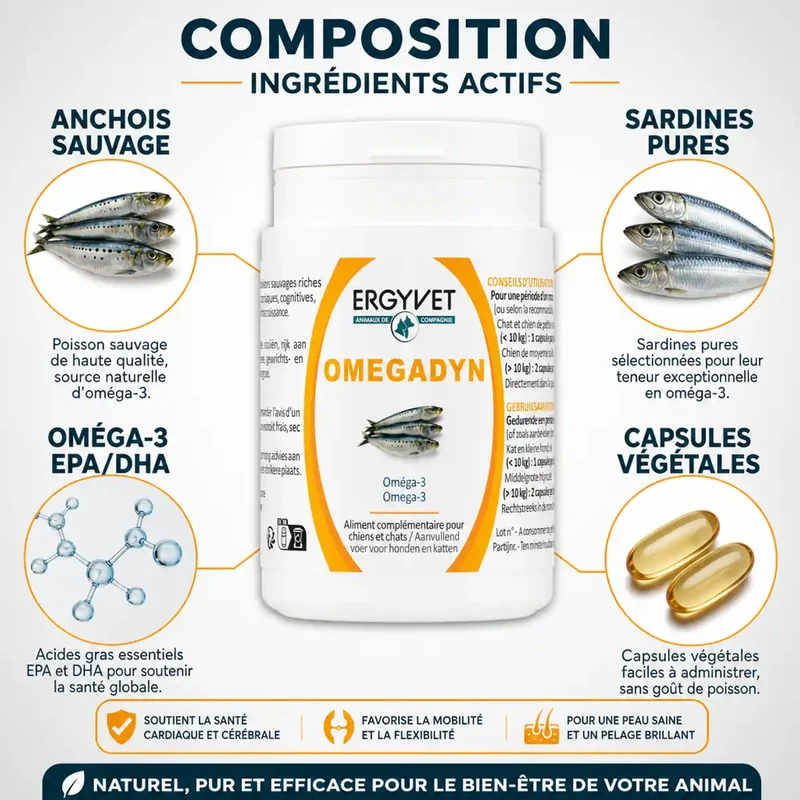 Omegadyn - Oméga 3 Chien et Chat - 60capsules - Ergyvet