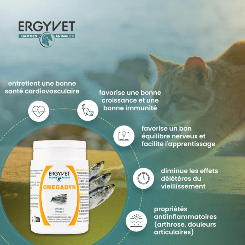 Omegadyn - Oméga 3 Chien et Chat - 60capsules - Ergyvet