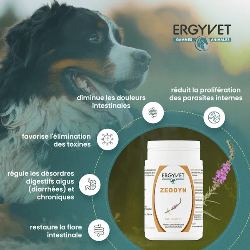 Zeodyn - Probiotique Chien et Chat - 70g - Ergyvet
