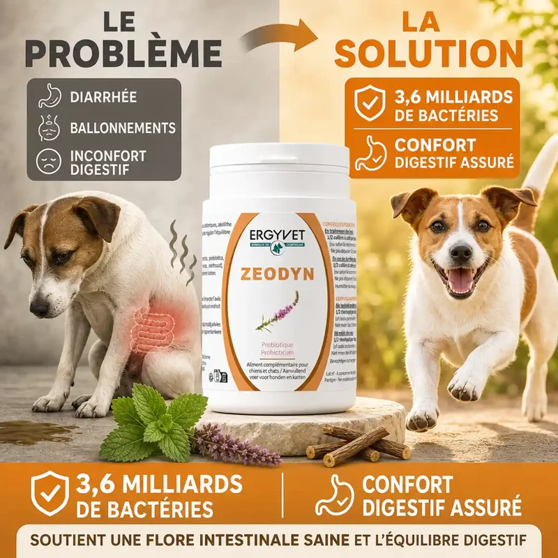 Zeodyn - Probiotique Chien et Chat - 70g - Ergyvet