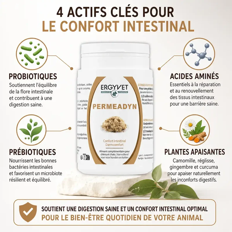Permeadyn - Confort Intestinal Chien et Chat - 70g - Ergyvet