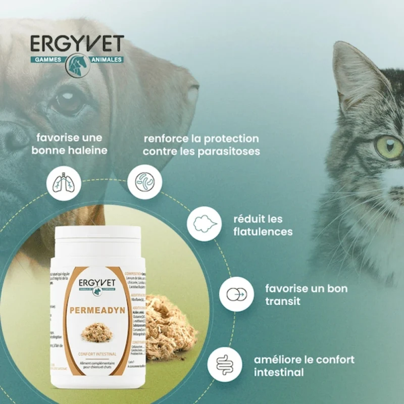 Permeadyn - Confort Intestinal Chien et Chat - 70g - Ergyvet