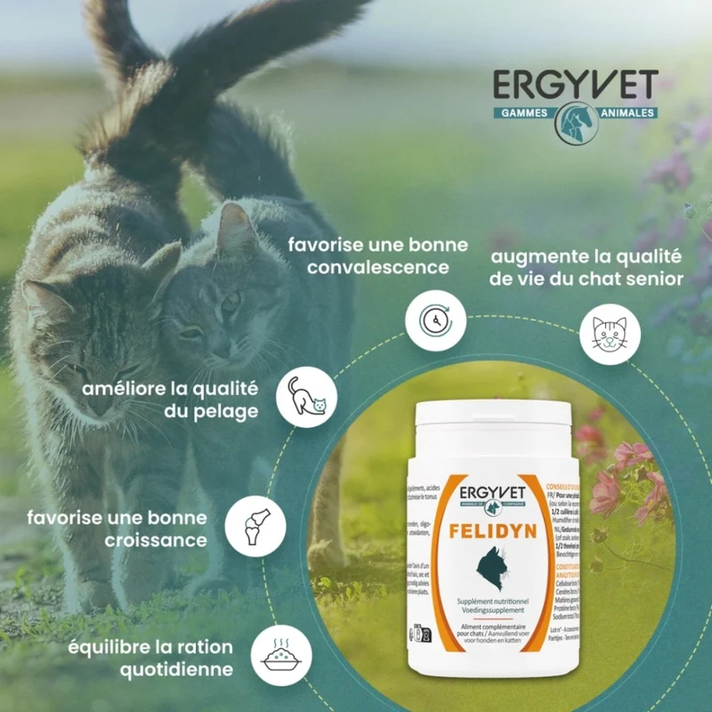 Felidyn - Supplément nutritionnel Chat - 55g - Ergyvet