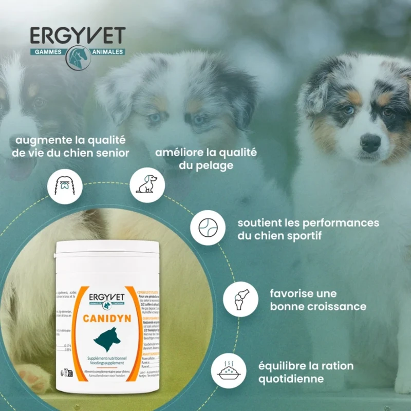 Canidyn - Supplément Nutritionnel Chien - 110g - Ergyvet