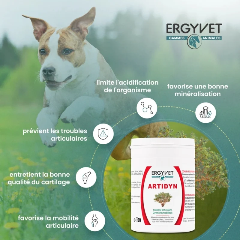 Artidyn - Mobilité Articulaire Chien et Chat - 110g - Ergyvet