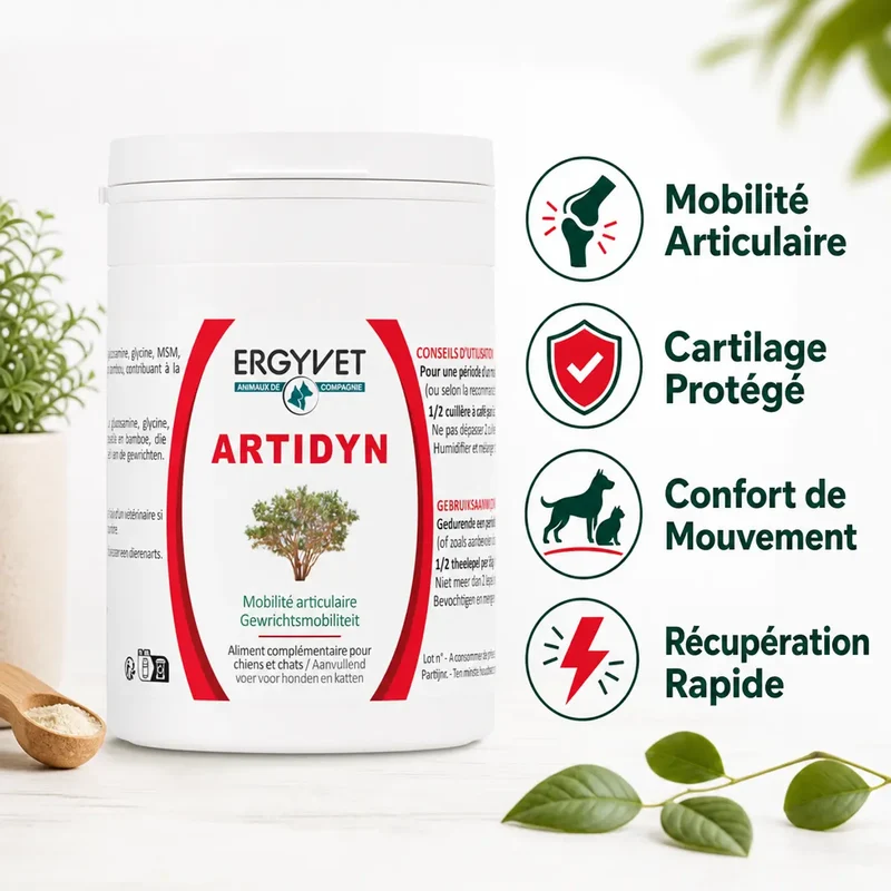 Artidyn - Mobilité Articulaire Chien et Chat - 110g - Ergyvet