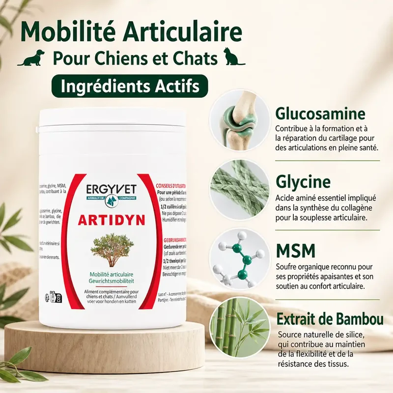 Artidyn - Mobilité Articulaire Chien et Chat - 110g - Ergyvet