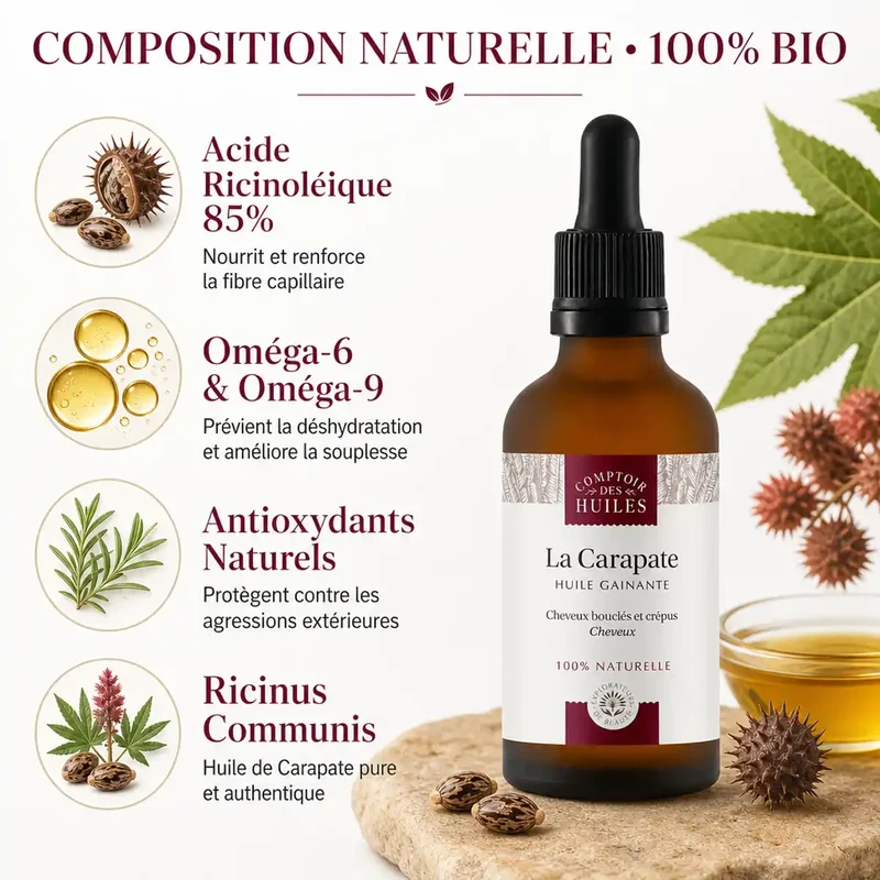 Huile de Carapate Bio (Ricin Noir) 50ml - Gainante & Fortifiante - Comptoir des Huiles