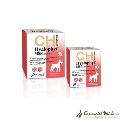 Chondroprotecteur HYALOPHYT MSM GIANTS Giant Dogs
