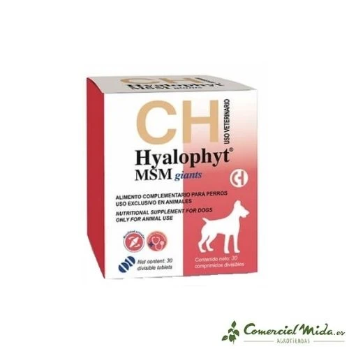 Chondroprotecteur HYALOPHYT MSM GIANTS Giant Dogs