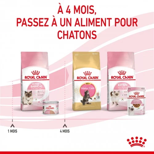 Royal Canin Mother & Babycat