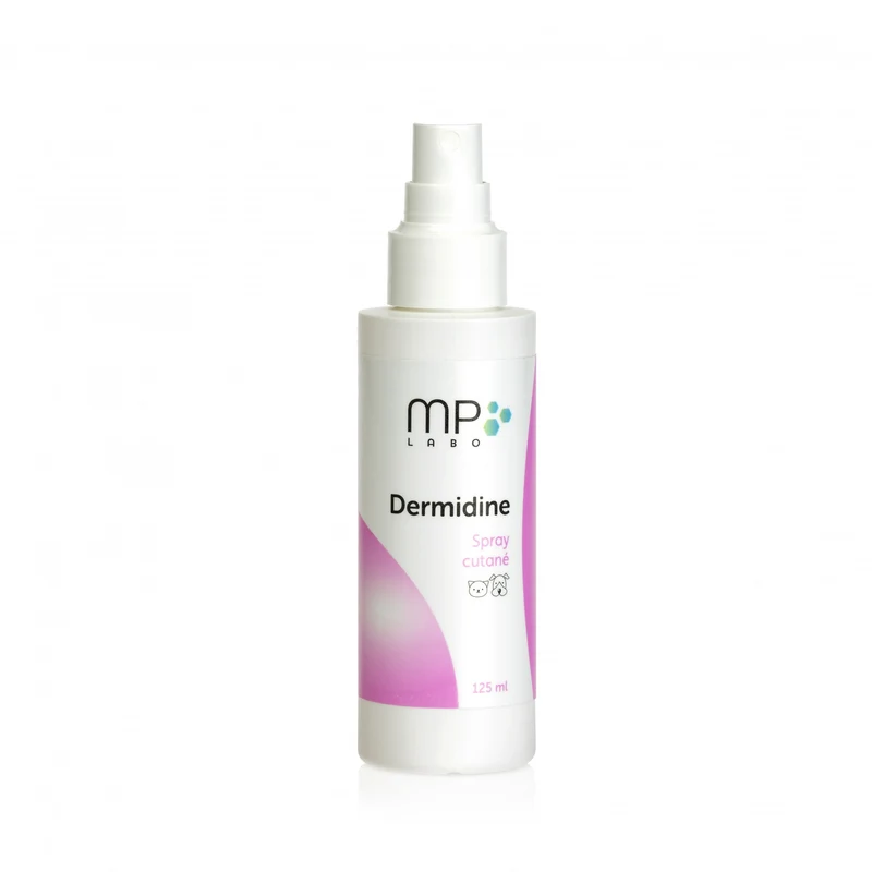 Spray désinfectant Dermidine