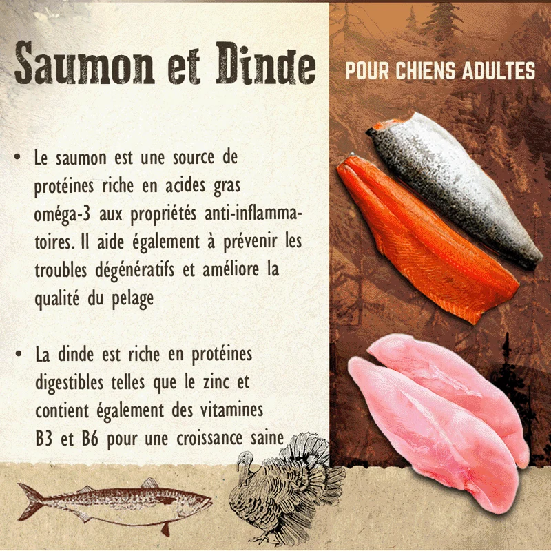 CARNILOVE Adult Large Saumon & Dinde 12kg