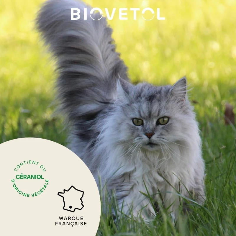 Collier Antiparasitaire Chat - Tiques & Puces x1 - Biovetol