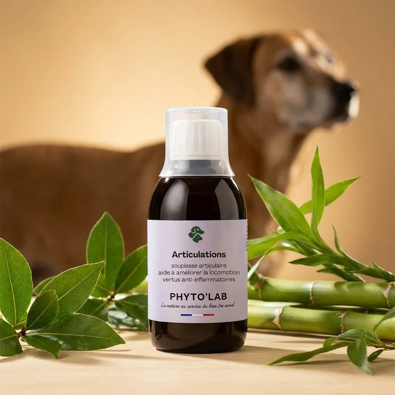 Articulations - Arthrose et Rhumatisme Chien et Chat - 250ml - Phyto'Lab